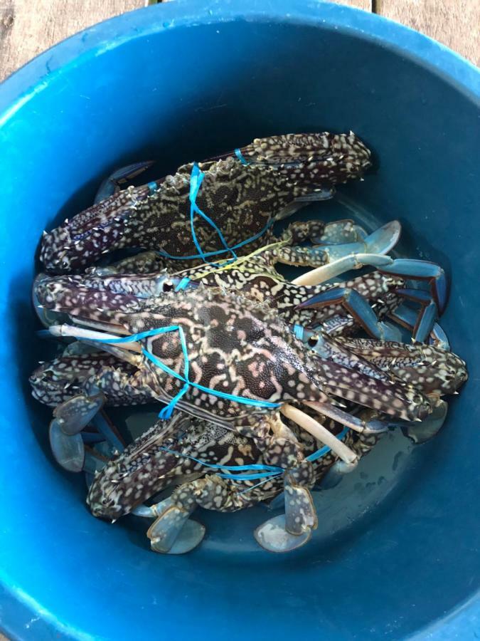Spheredivers Scuba & Leisure Mabul Island Bagian luar foto